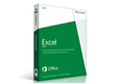 MS Excel 2013